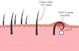 As mentioned earlier, ingrown hairs are those hairs that grow back into the scalp skin. How To Get Rid Of Ingrown Facial Hair Causes Prevention And Removal Beardoholic