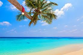 We did not find results for: Christmas Tree On The Sea Beach Christmas Vacation Concept Stock Photo Image Of Landscape Egipt 35363622