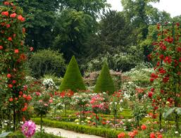 Parc de Bagatelle | Un jour de plus à Paris