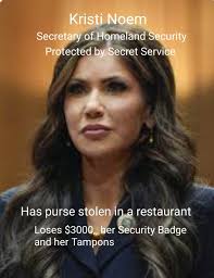 Trump's gov't inexperience is only exceeded by his complete incompetence.  Perhaps he can be a brain surgeon as his next job?