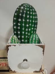 Coltivare le piante e i fiori partendo dalle semenze è l'ideale per poter seguire dall'inizio alla fine tutto il processo di vita della pianta: Cactus Con Sassi Mare Creazione Nonnaglo