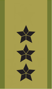 Ranks and insignia of nato armies officers. Military Ranks And Insignia Of Norway Military Wiki Fandom