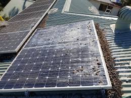 Bird Proofing Service By Pure Sunshine Solar Panel Cleaning