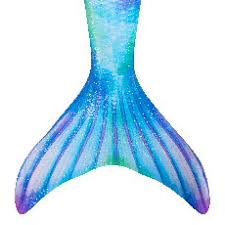 Aquatic clear water tail tank beautiful carp orange gold fish. Which Mermaid Tail Should You Choose Ask Your Finfriends