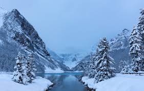 winter snow trees mounns lake