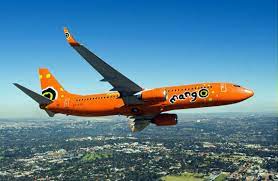 The south african government has announced plans to sell a majority stake of the troubled airline to a private african investment consortium while still maintaining minority control of the airline. The 20 Most Colorful Airlines In The World Airlines South African Airways Airplane Pilot