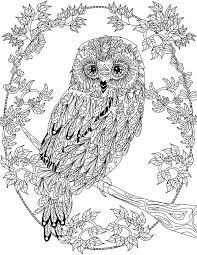 Pin On Adult Coloring 3