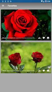 Download latest version of ?blackpink fake call | lisa and rosé ? Rose For Android Apk Download