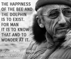 There's nothing more beautiful than the way the ocean refuses to stop kissing the shoreline, no matter how many times it's sent away. Wonder Quotes Quote Coyote