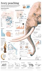 100 African Elephants Slaughtered For Ivory Each Day Infographic Animal Infographic Infographic Scientific Poster