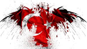 Hd Turk Bayragi Indir Turk Bayraklari Bayrak Resim Sanat Portfoy