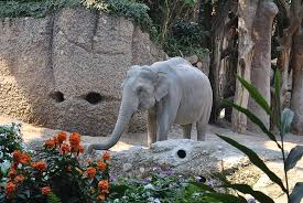 Check out updated best hotels & restaurants near zurich zoo. Zurich Zoo Picture Of Zoo Zurich Tripadvisor
