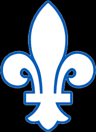 quebec nordiques alternate logo national hockey league nhl chris creamer s sports logos page sportslogos net coloriage de fourmilier elise