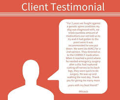 Paul pet hospital's veterinary care foundation. St Paul Pet Hospital Reviews Petslover