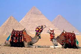 Grammarly helps you make sure that your writing is flawless and effective! Camel Ride At Sunset Dinner With The Pyramids View Sound Light Show 2021 Cairo