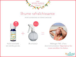 Ptittuto Ne Laissez Pas La Chaleur Vous Gacher La Journee Attention A Bien Fermer Les Yeux Et Recette Cosmetique Maison Cosmetiques Maison Menthe Poivree