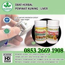 Obat sakit kuning dari teripang sudah tidak diragukan lagi khasiat, manfaat serta kualitasnya untuk membantu proses penyembuhan penyakit kuning atau. Jual Obat Liver Penyakit Kuning Hepatitis Herbal Alami Terbukti Ampuh Home Facebook