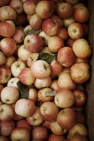 An Entry From Good Grief Miss Agnes Autumn Aesthetic Apple Autumn Inspiration