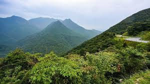 Yakushima: Around the Island