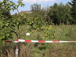 Mit dem ort des geschehens haben wir uns erst einen tag vor der börse auseinandergesetzt, schließlich mussten wir ja wissen wo wir hinfahren. Koeln Magazin Finkens Garten