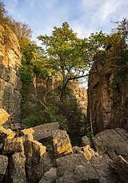 Maybe you would like to learn more about one of these? Hessigheimer Felsengarten Wikipedia