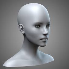 Female Head 1 3d Model Female Head 3d Model Model