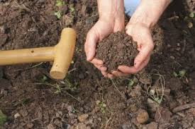 Soft rock phosphate soil amendments & minerals soil minerals solubor sprouted seed tea srf sst steve solomon sulfate of potash magnesia sulfur super soil tera vita tiger 90 trace minerals water. How To Use Peat Moss Ehow Com Peat Moss In The Garden Peat Moss Uses Peat Moss