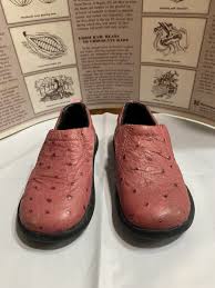 Image result for Pink 1972 Roper