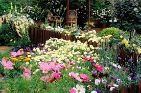 To help you we have included a design filled with flowers that are great for cutting. How To Plan And Grow A Cutting Garden