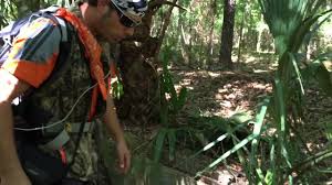 Image result for dip vat