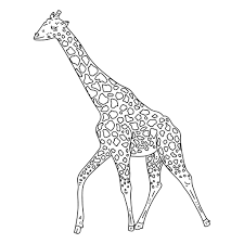 Download Giraffe Walking Stroke Transparent Png Svg Vector File