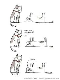 Lol Funny Animal Quotes Yoga Exercises Health Yoga Cartoon Yoga Funny Cat Yoga