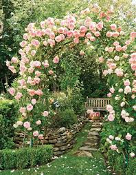 Pin On Cottage Gardens
