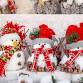 Volcano Vista Arts n' Craft Fair 2024 — Revenant Creations LLC