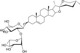 Image result for Ptycholobium contortum