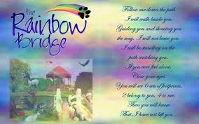 And it always served to raise my spirits a bit. Rainbow Bridge Memories Dog Poems Rainbow Bridge Pet Loss Grief