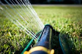 A plastic or galvanized watering can with a detachable rose sprinkler head. The Best Time To Water Your Grass How Long To Water Grass