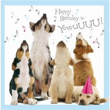 This is puppies birthday card by johnston county public schools on vimeo, the home for high quality videos and the people who love them. Howling Pups Birthday Card Pet Pawtrait Card Pettumtrampolines Es