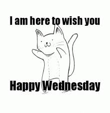 Is work stressing you?do you want a reason to smile at the beginning of each work day?we will give you one. 85 Funny Wednesday Quotes Sayings Pics And Images