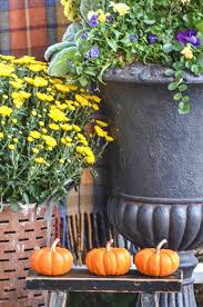 It can be a vintage chair, rocker, trolley, plant stand, basket, ladder or a bucket. Outdoor Small Space Fall Decorating Stonegable