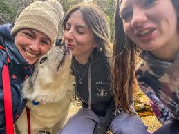 Hi from Link and Aspen!