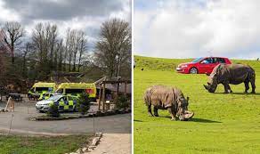 For a family visit to west midlands safari park! Baby Girl Dies After Cardiac Arrest At West Midland Safari Park Uk News Express Co Uk