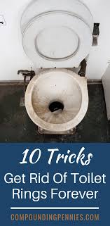 How to dispose of a toilet (and the proper way to do it). Pin On Cleaning Tips