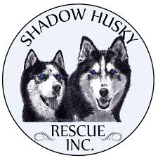 They are wonderful with children. Shadow Husky Rescue Inc Home Facebook