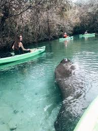 The official instagram of st.pete beach llc. Fun Day Trips From Clearwater Beach Florida Local S Guide