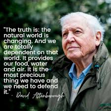 Leanne Hickman (@LeanneHickman)