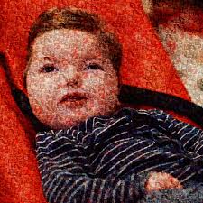 National leader Kristina Keneally joins SCHF