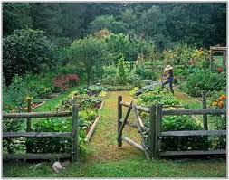 Australian Vegetable Garden Design Google Search Dream Garden Perfect Garden Beautiful Gardens