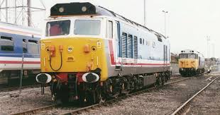 50002 50050 Old Oak Common Diesel Locomotive Train Pictures Old Trains