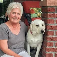 Mile high labrador retriever mission is a 501(c)3 charitable organization in the state of colorado. Freedom Service Dogs Career Change Dog Mochi